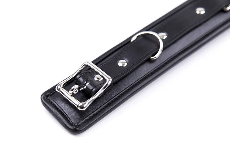 Black Wolf Leather Trim Collar & Leash