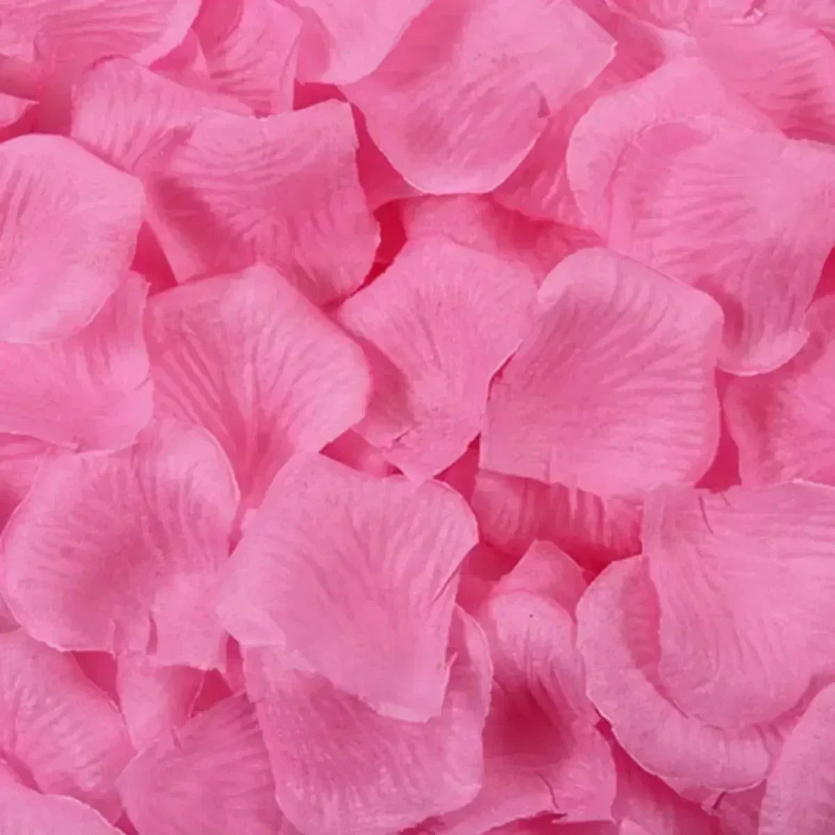 47947886854472|47947886887240|47947886920008|47947886952776|47947886985544
