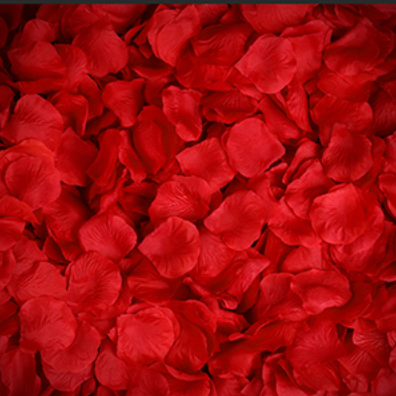 Lovers rose petals